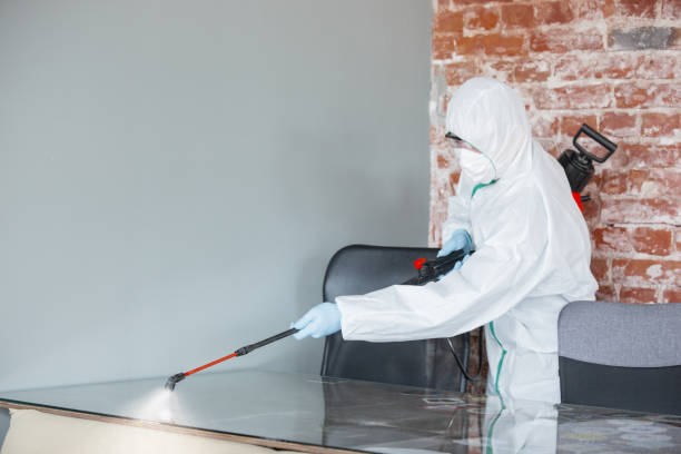 Mold Remediation for Rental Properties in Alto, TX